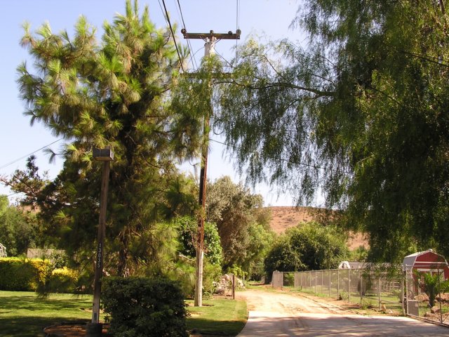 p8041104.jpg