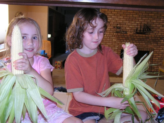 helpingdaddyshuckcorn.jpg