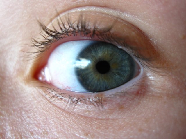 aneye.jpg